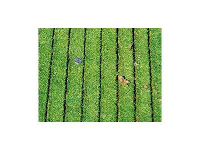 Pull Type 25 Hp 101 Cm Overseed Grass Seeder Machine - 5