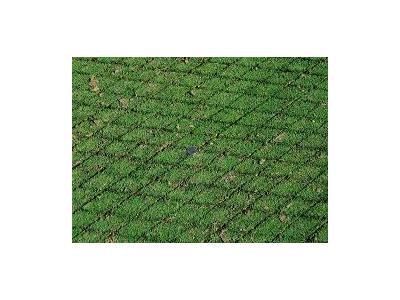 Overseeder - Traktöre Asılır Tip 152 Cm Çim Ara Ekim Makinesi - 4