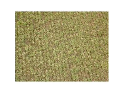 107 Cm Scarifier/Verticut Traktöre Asılır Tip Çim Yüzey Havalandırma Makinesi - 3