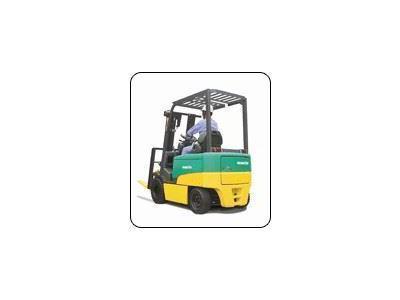 FV25EX 11 (2,5 Ton) Akülü Forklift  - 1