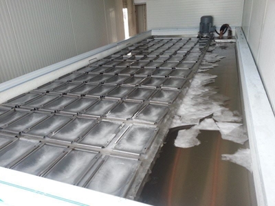 3000 Kg / Day Container Type Mold Ice Machine -  - 4