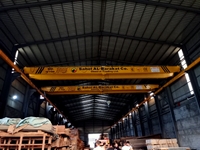 Feskon 25 Ton Double Girder Overhead Crane - 19