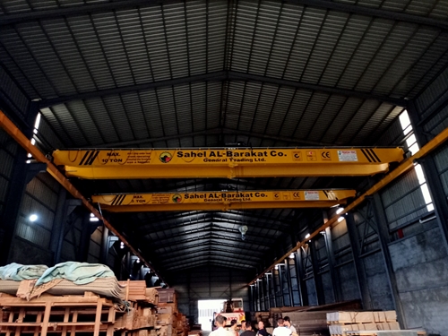 Feskon 25 Ton Double Girder Overhead Crane