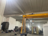 25 Ton Çift Kiriş Gezer Köprülü Vinç - 2