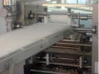 Galeta Makinesi PLC Kontrollü Susamlamalı