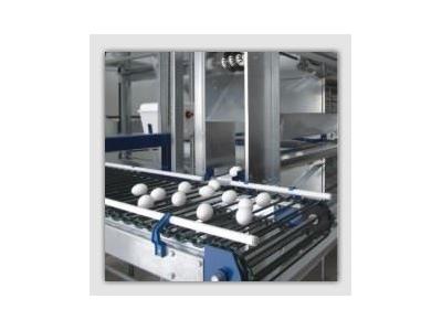 Zenginleştirilmiş Tavuk Kafesi / Gürtech Eu-20 - 1