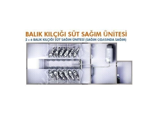 2 x 6 Balıkkılçığı Süt Sağım Makinası