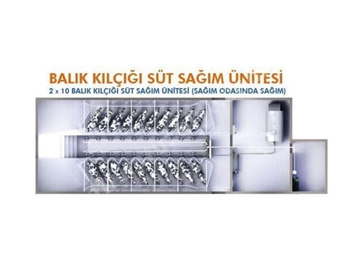 2x10 Süt Sağma Makinası