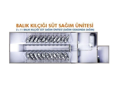 2*11 Süt Sağma Ünitesi - 0