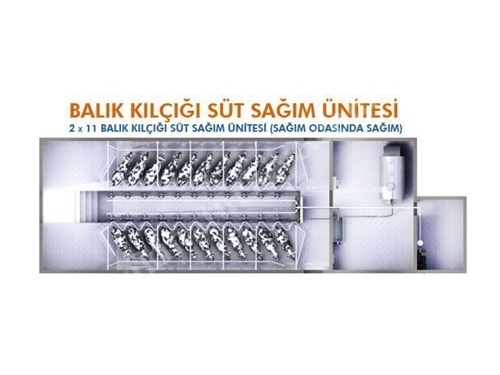 2*11 Süt Sağma Ünitesi