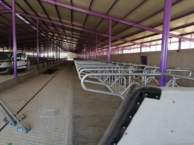 Koçaksan Hayvan Yatak Durak Demiri - 4