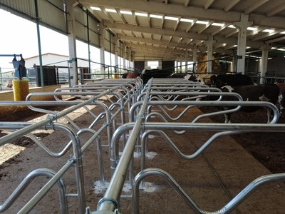 Koçaksan Hayvan Yatak Durak Demiri - 8