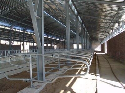 Koçaksan Hayvan Yatak Durak Demiri - 3