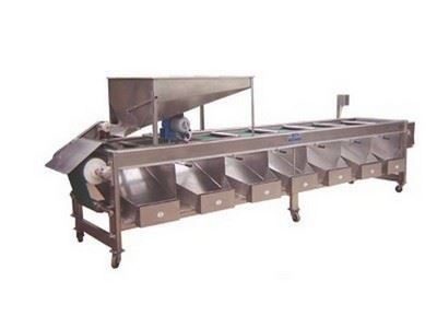 Zeytin Kalibre Makinası Günal Makina GM 305