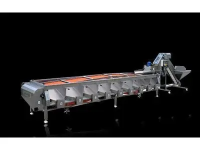 Oliven-Sortier-Kalibrierungsmaschine (4000 kg/Stunde)