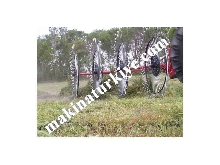 Ot Tırmığı / Kara Ova Ko225