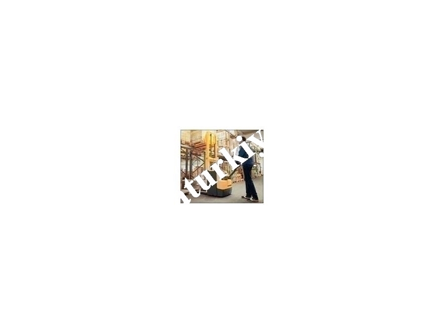 2 Ton Çift Paletli Elektrikli İstif Makinesi / Jungheinrich Ejd 220