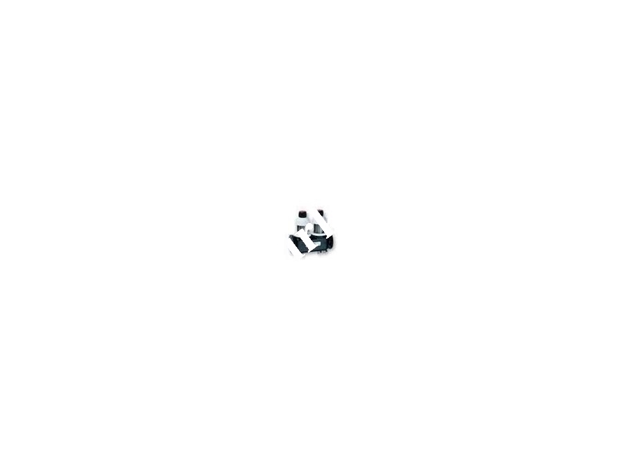 Tortu Filtre Judo ROFi