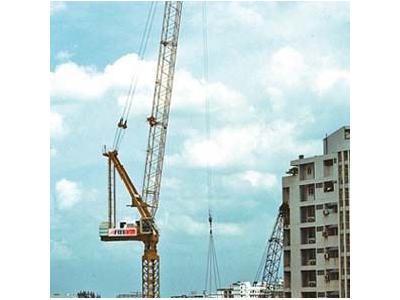 Boom Kaldırılabilen Kule Vinç 60 Metre 12 Ton - 0