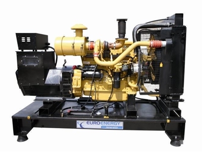Dizel Jeneratör 145 Kva Shanghai Motorlu / Euroenergy Edsg 145 - 0