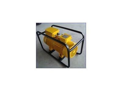 Elektrikli İç Vibratör  Arv.50 - 1