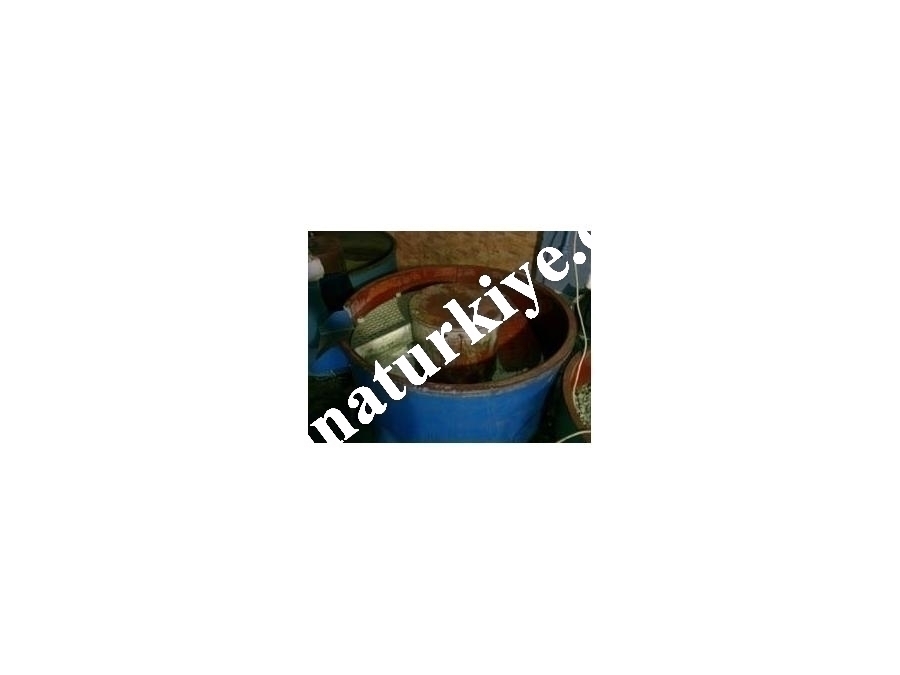 ikinci El Çanak Tipi Vibrasyon Makinesi 600 Lt
