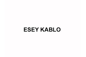Esey Plastik  Logo