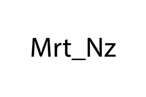 Mrt_Nz  Logo