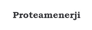 Proteamenerji  Logo