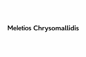 Meletios Chrysomallidis  Logo