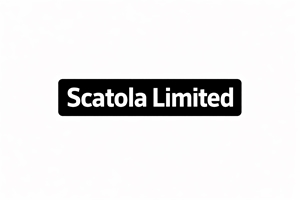 Limited   Logo