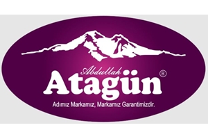 Atagün Grup  Logo