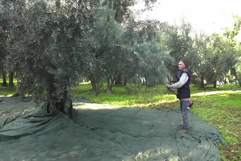 Yandan Askılı Zeytin Hasat Makinası