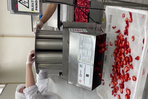 250-500 Kg /Saat Meyve Sebze Dilimleme Makinesi