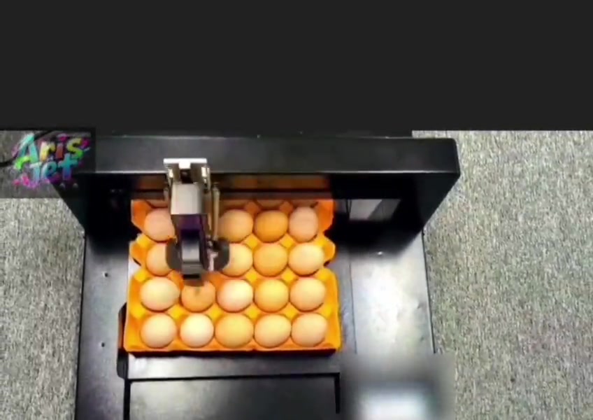 Yumurta Baskı İçin İnkjet Kodlama Makinası