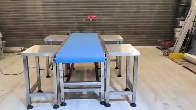 Kenar Masalı PVC Konveyör Bant Sistemleri