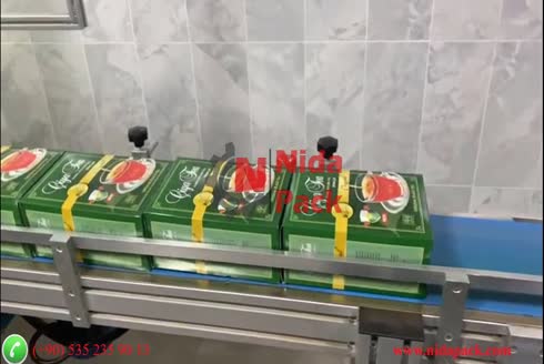 NP-110 Tam Otomatik Çay Kutusu Paketleme Makinası