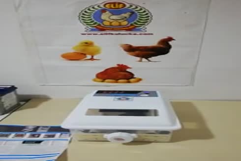 24'lü Hobby Kuluçka Makinası