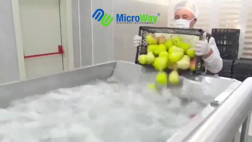 Meyve sebze kurutma tesisi