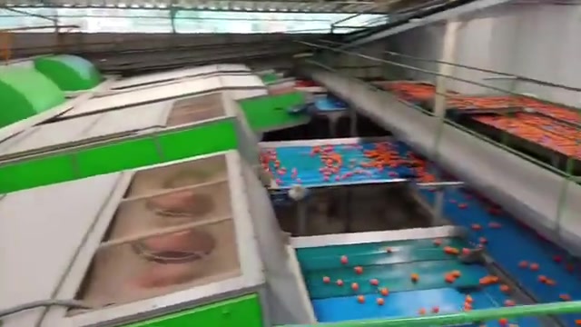 Narenciye Boylama Makinası