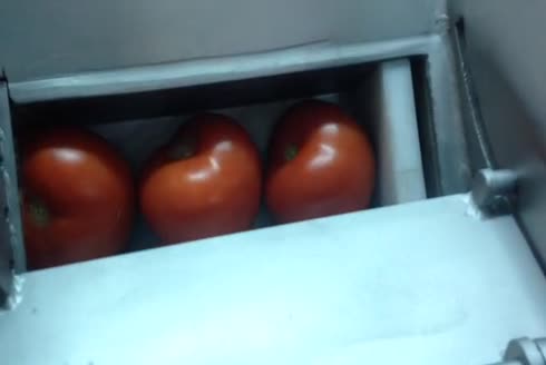 domates kuşbaşı kesim