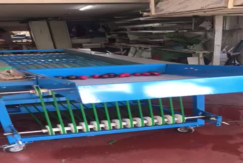 Mürdüm Eriği Boylama Makinesi