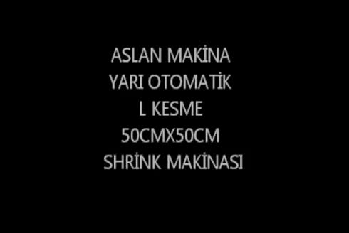 Aslan Makina