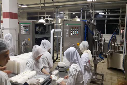 150 - 600 Litre / Saat Lob Pompalı PLC Kontinü Dondurma Üretim Makinası