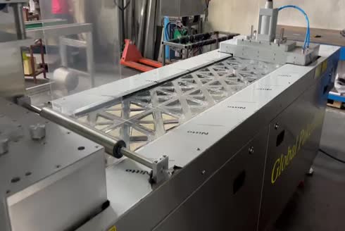GPZ CMP Peynir Paketleme Makinası 