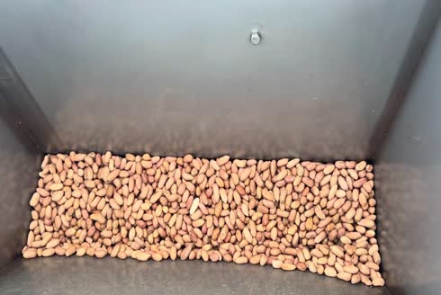 30-50 kg/ h Nuts Roasting Machine 