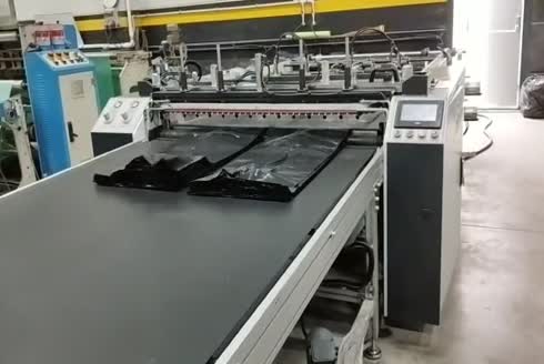 Cs 1300 Swd Bag And Sachet Cutting Machine