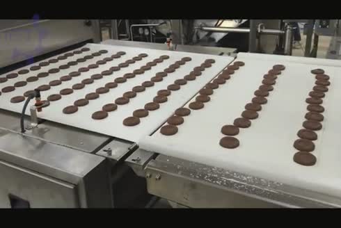 Çikolata Kaplama Makinesi Bant Genişliği 600-1300Mm