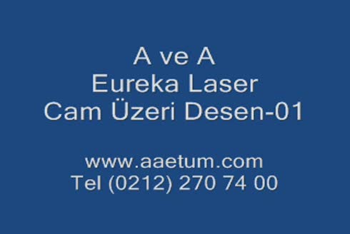  Cam Desen Sistemi Vazo