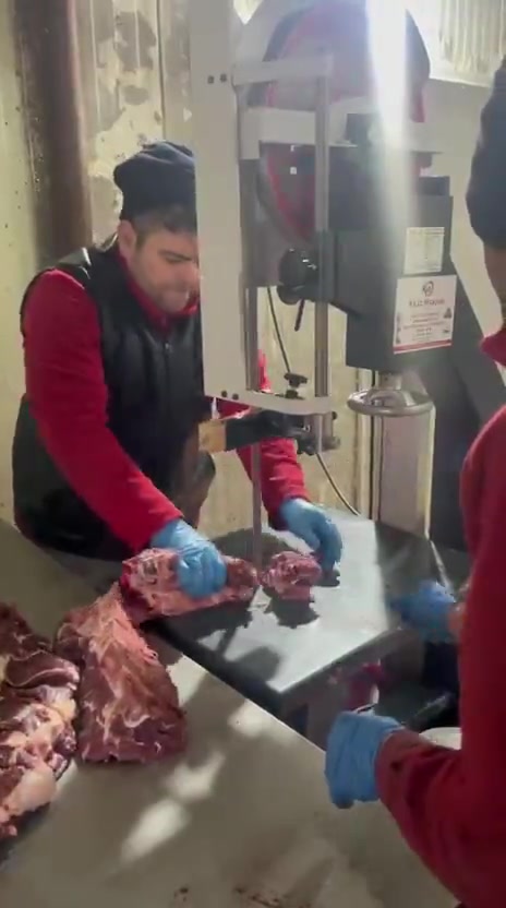 600 X 550 Mm Şerit Testere Makinesi